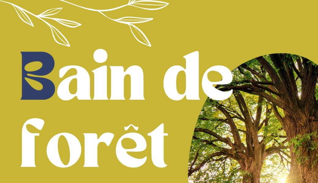 Bain de forêt à Camors