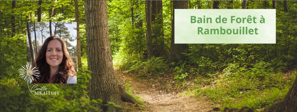 Bain de Forêt à Rambouillet