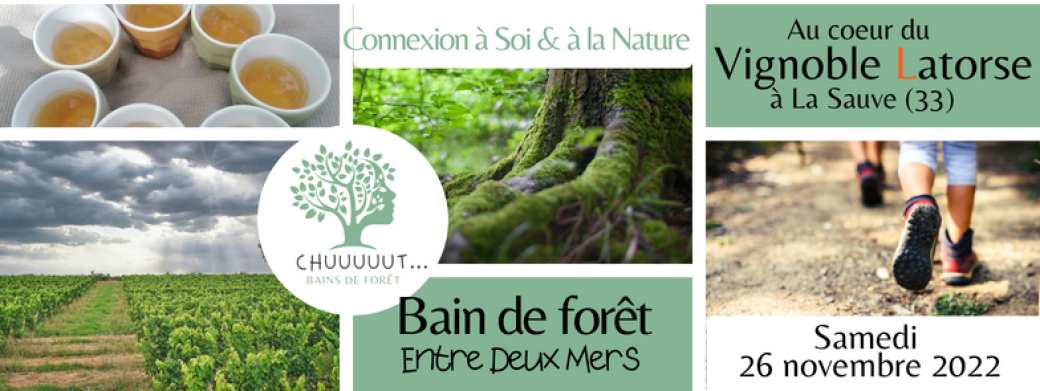 Bain de forêt au coeur du vignoble LATORSE