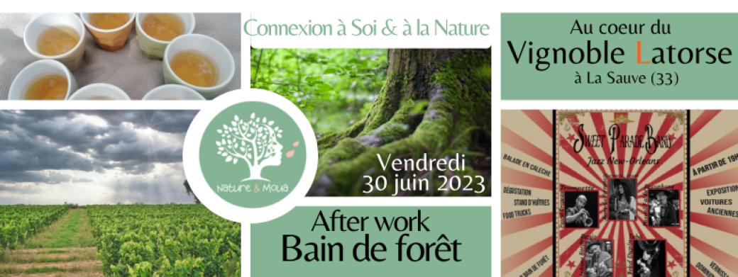 Bain de forêt au coeur du vignoble LATORSE