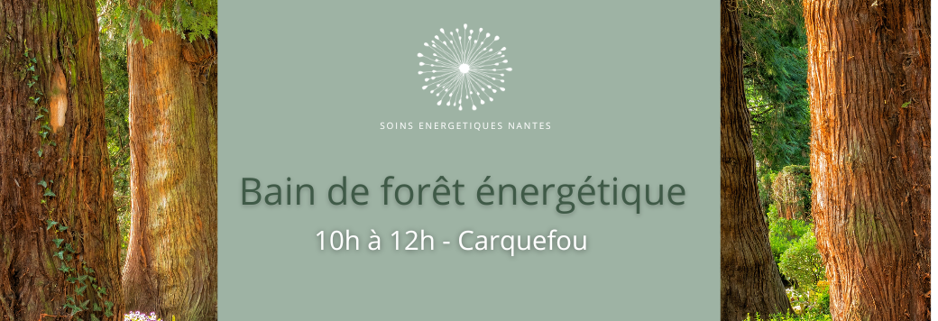 Bain de Forêt - Château de Maubreuil - Carquefou