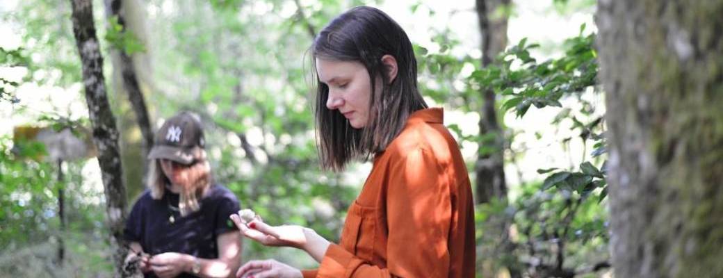 Bain de forêt : Comment ça marche ?
