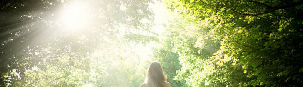 Bain de Forêt conscient individuel (adulte)