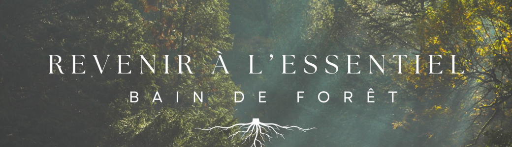 Bain de forêt découverte - Revenir à l'essentiel