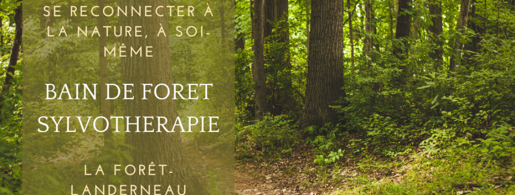 Bain de Forêt Détente