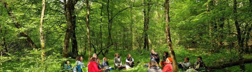 Bain de forêt en EcoReliance