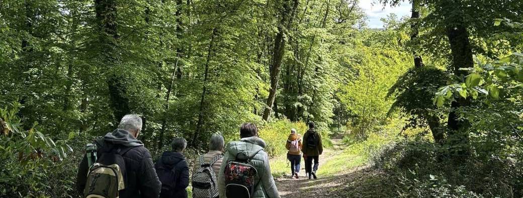 Bain de forêt "Immersion Bien-Etre"