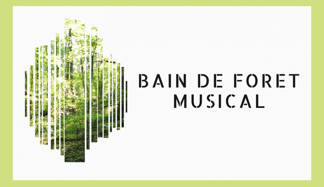 Bain de forêt musical