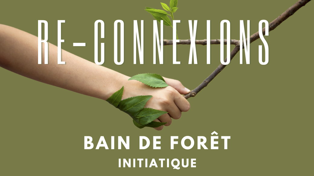 "RE-CONNEXIONS" - Bain de forêt initiatique "RE-CONNEXIONS" - Bain de forêt initiatique