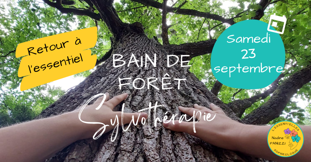 Bain de forêt - Retour à l'essentiel 