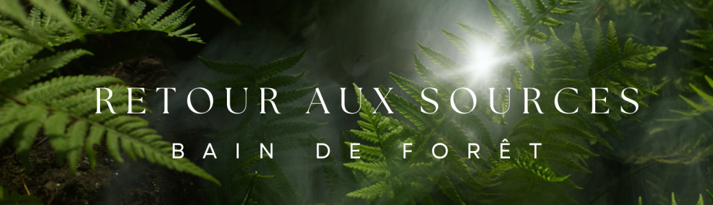 Bain de forêt - Retour aux sources