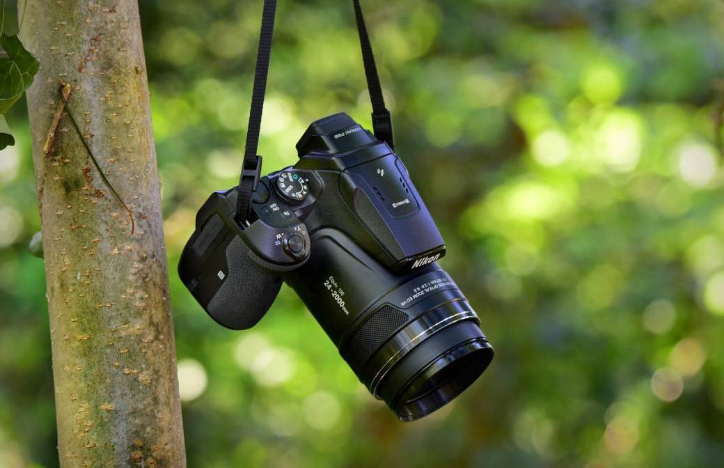 Bain de forêt "Spécial photographe"