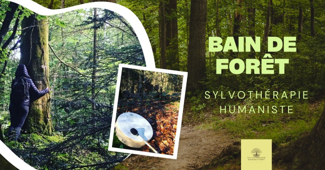 Bain de Forêt Sylvothérapie Humaniste