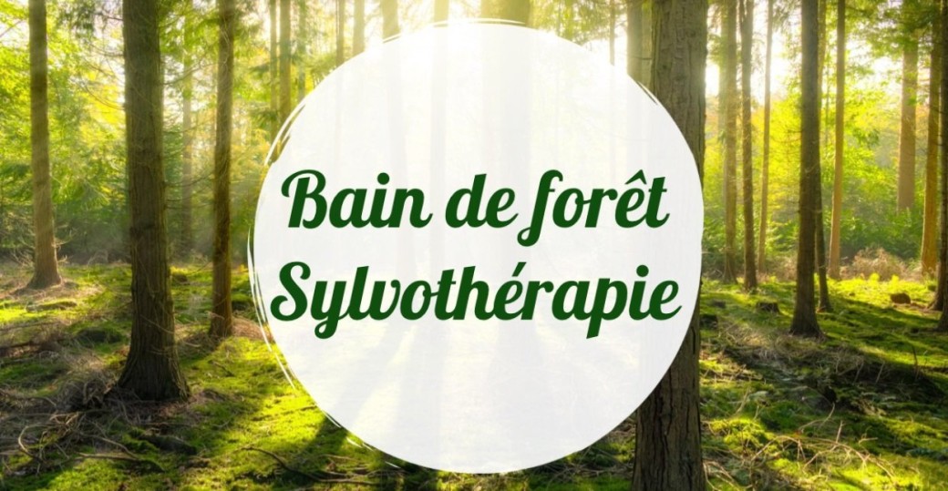Bain de Forêt Sylvothérapie