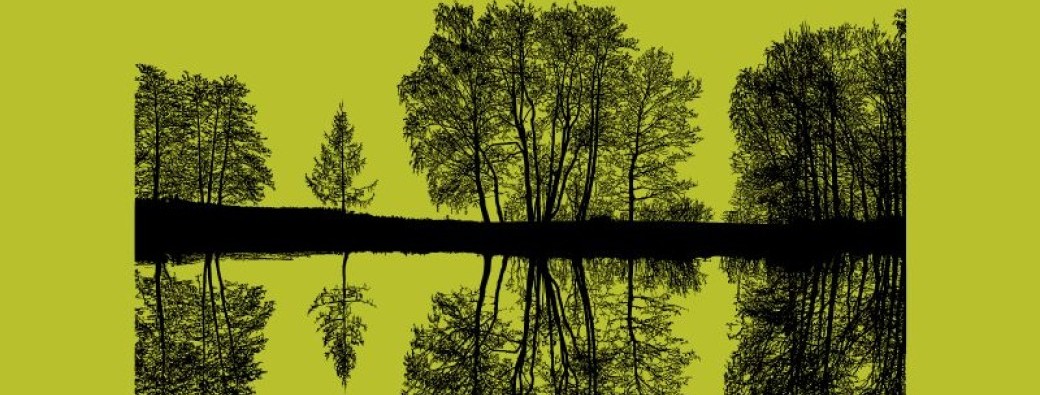 Bain de forêt - Sylvothérapie