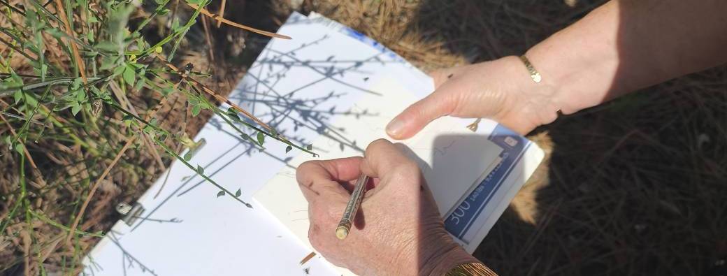 Immersion Carnet sensible : une journée pour se déposer et créer en nature