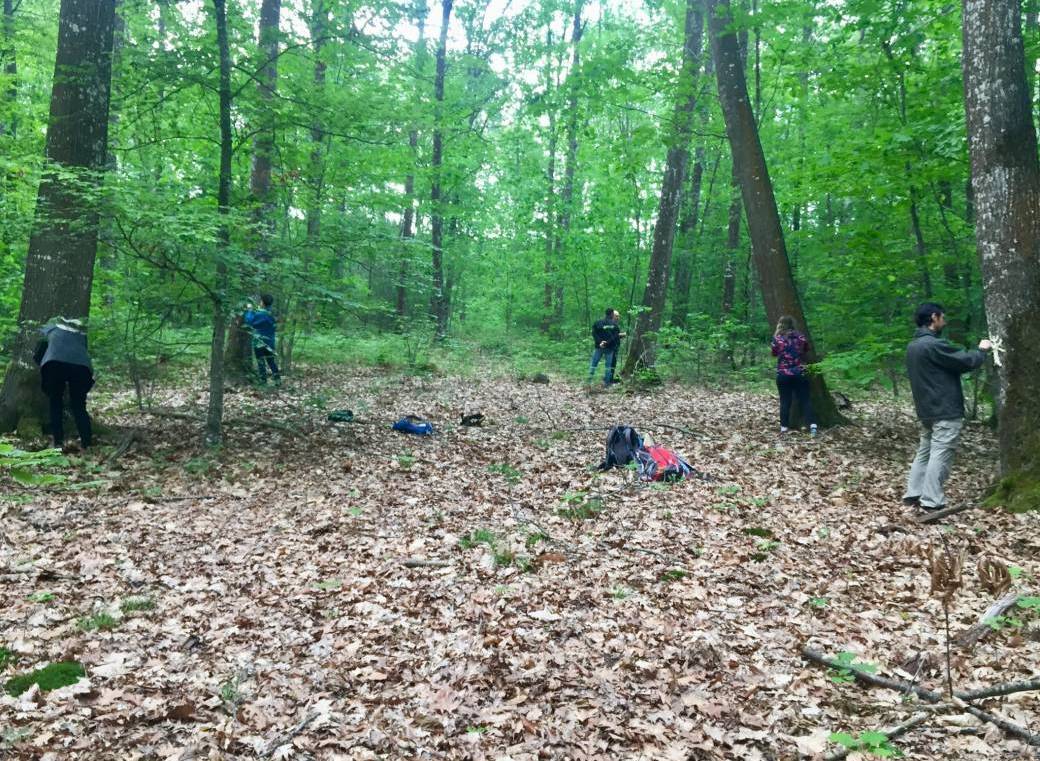 Bain de forêt  "4 SAISONS" 
