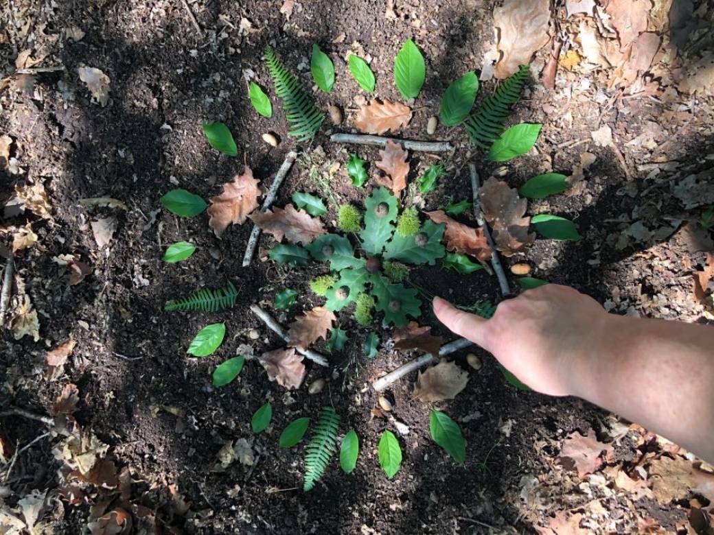 Bain de forêt Bain de forêt