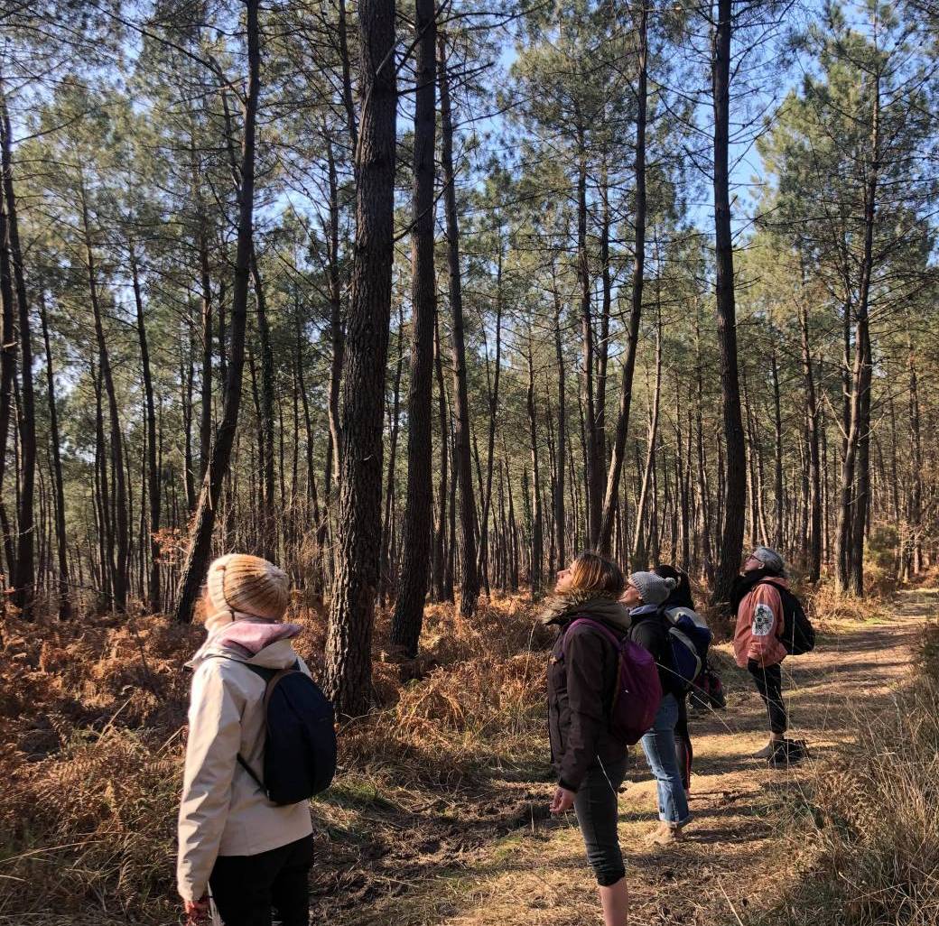 Bain de forêt