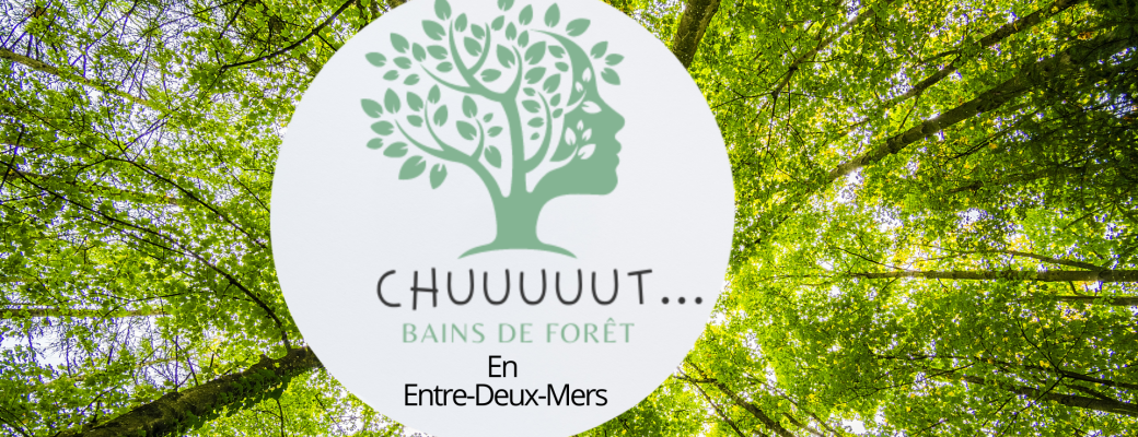 Bain de forêt