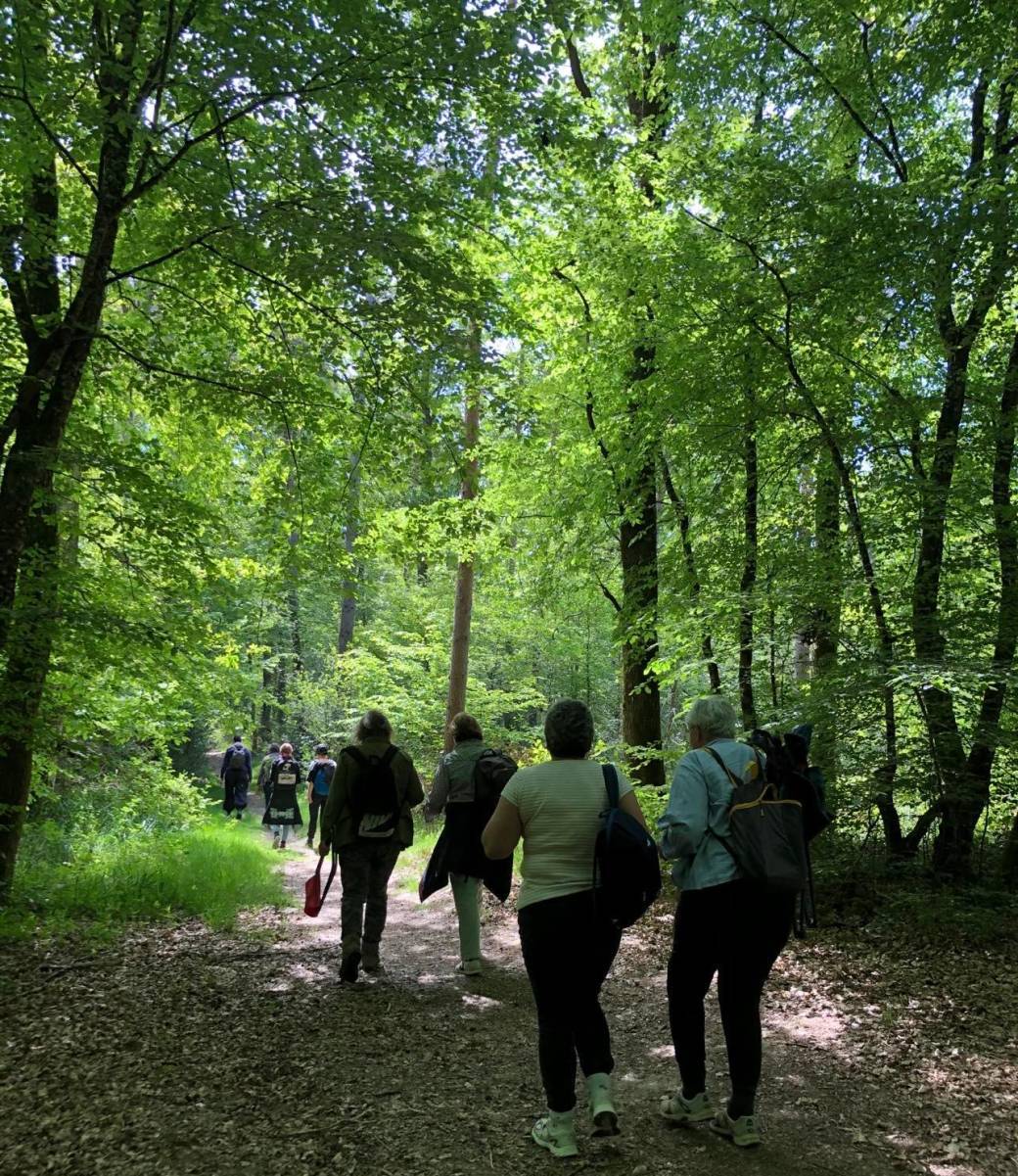 Bain de forêt