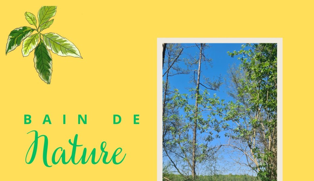 Bain de nature