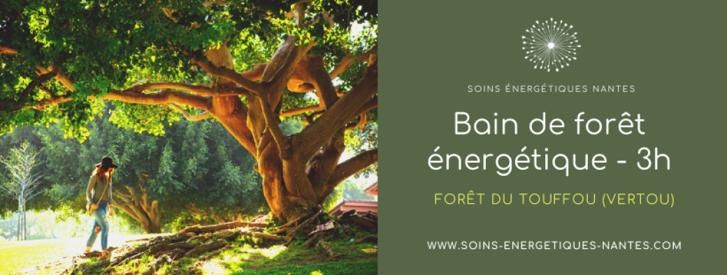 Atelier Bain de Forêt énergétique (3h)