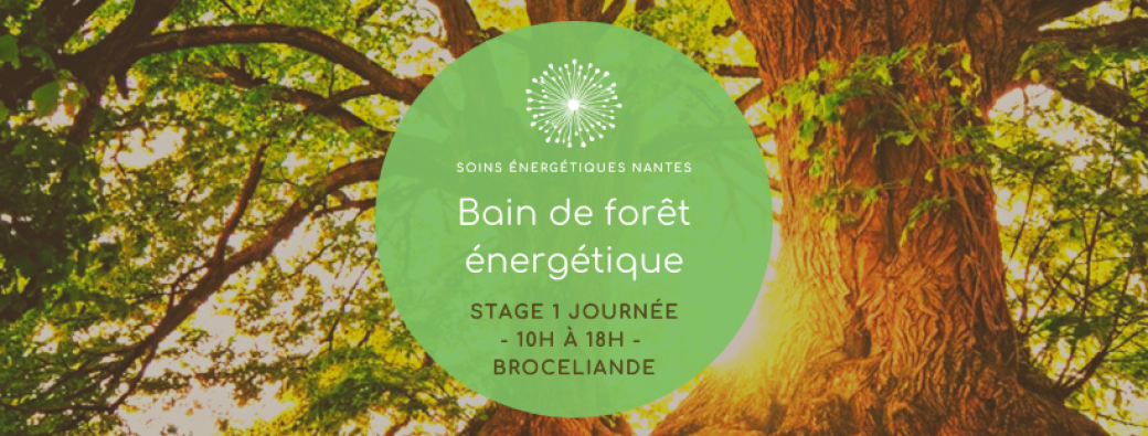 Bain de Forêt Énergétique  - Stage 1 journée Bain de Forêt Énergétique  - Stage 1 journée