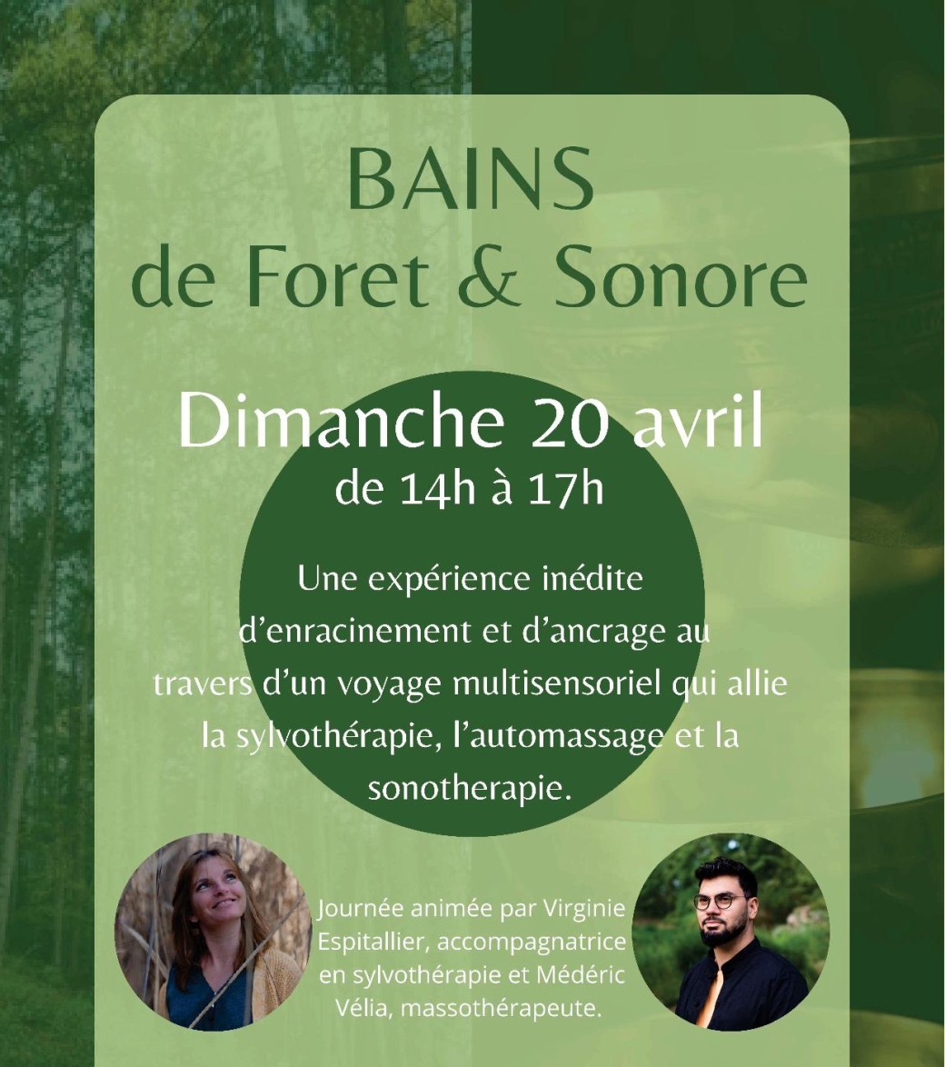 Bains de Foret et sonore 