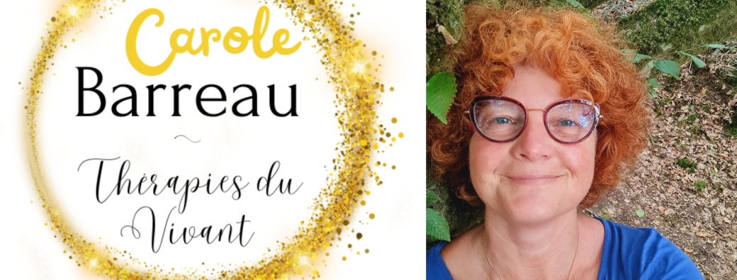 Ma journée Atelier avec la Forêt
