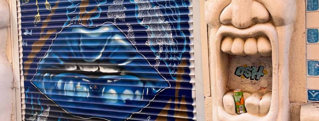 Balade à la Croix Rousse & rencontre avec un artiste peintre 
