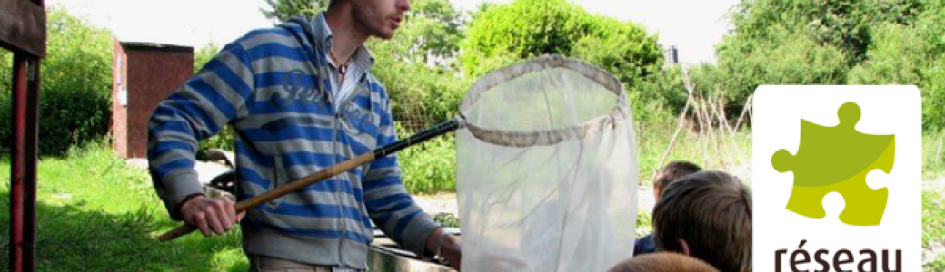 Balade : A la découverte des insectes