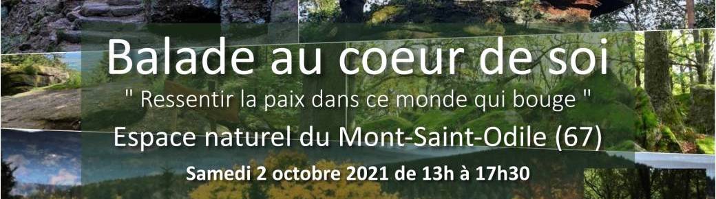 Balade au cœur de soi " Ressentir la paix dans ce monde qui bouge "