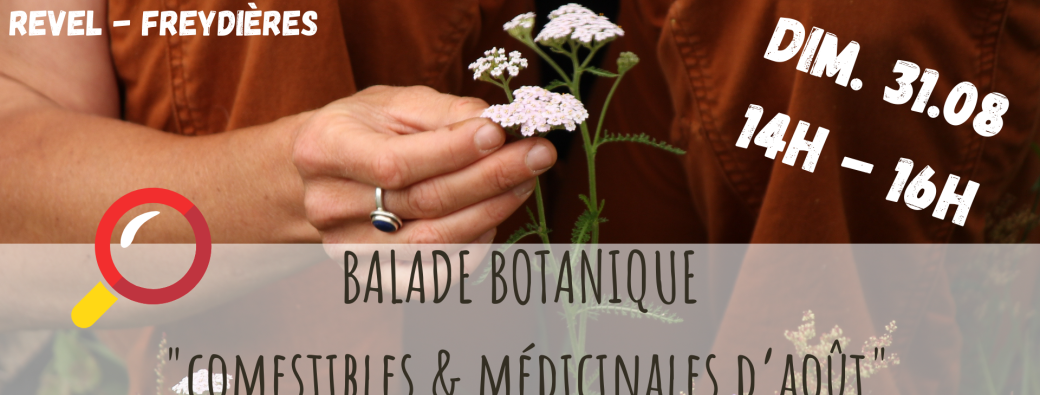 BALADE BOTANIQUE - Comestibles & Médicinales d'Août