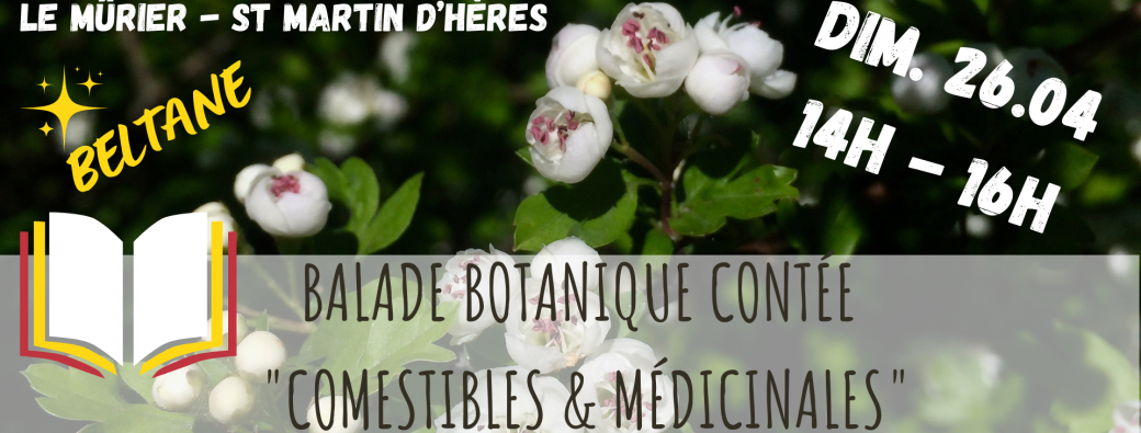 BALADE BOTANIQUE CONTÉE - Comestibles & Médicinales