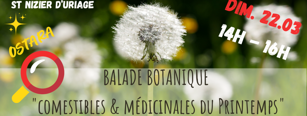 BALADE BOTANIQUE - Comestibles & Médicinales de Mars