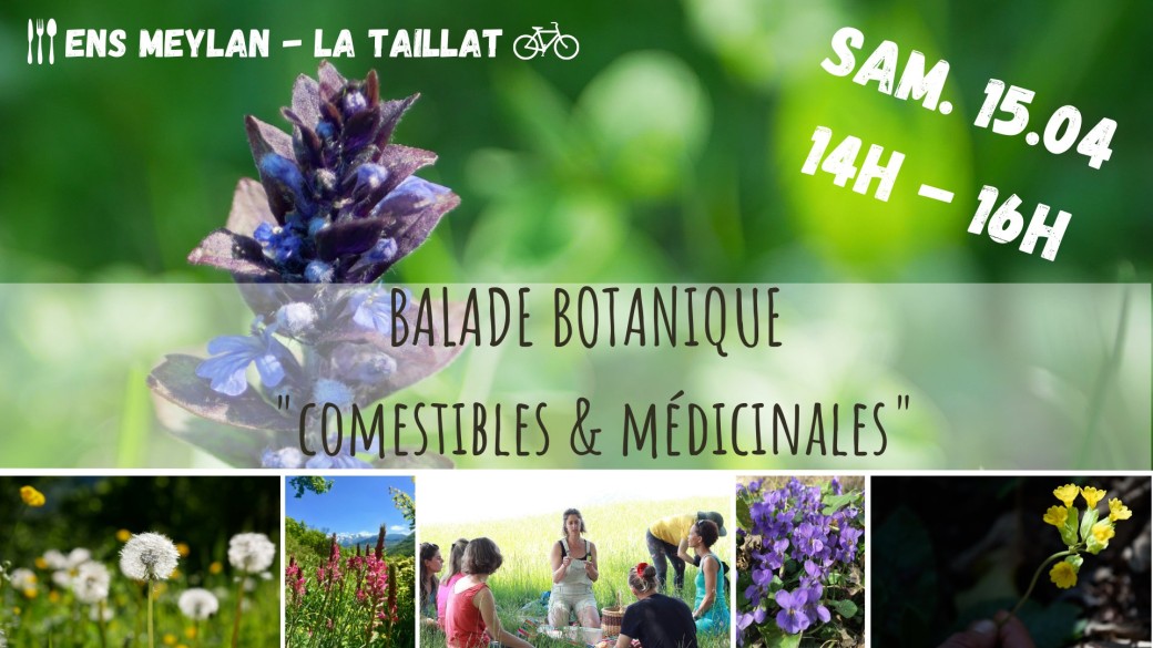 BALADE BOTANIQUE Comestibles & Médicinales - Meylan
