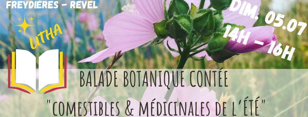 BALADE BOTANIQUE CONTÉE - Comestibles & Médicinales de l'Été