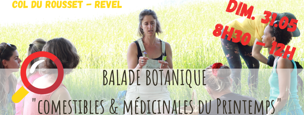 BALADE BOTANIQUE - Comestibles & Médicinales du Printemps