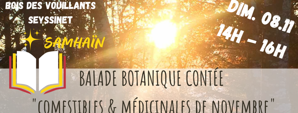 BALADE BOTANIQUE CONTÉE - Comestibles & Médicinales de Novembre