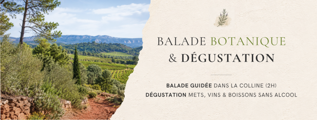Balade Botanique & dégustation