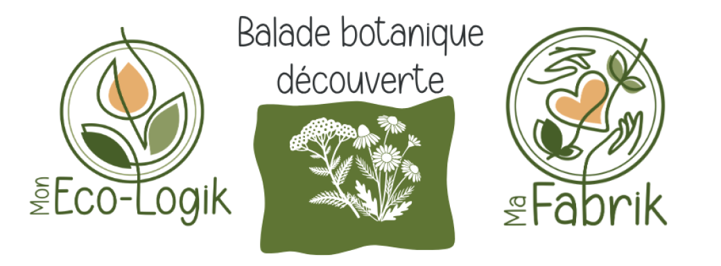 Balade Botanique Estivale
