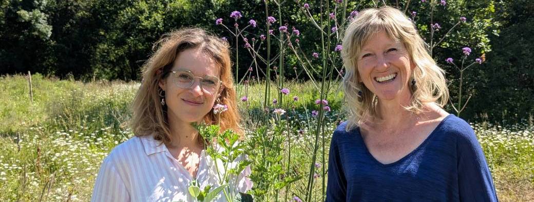 Balade botanique et initiation aux plantes médicinales