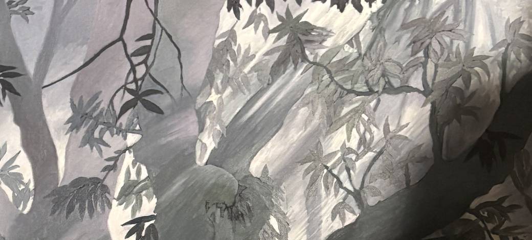 Balade commentée Découverte de la forêt de Sennecé-les-Mâcon