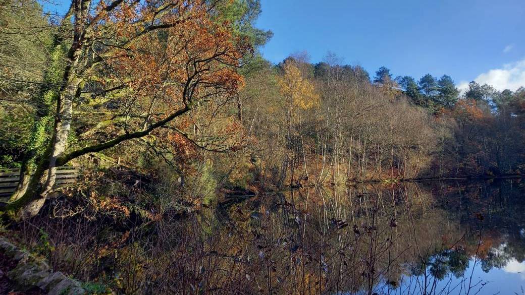 Balade Contes et Goûter en Brocéliande.