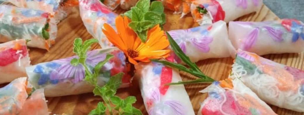 Balade & Cuisine Sauvage