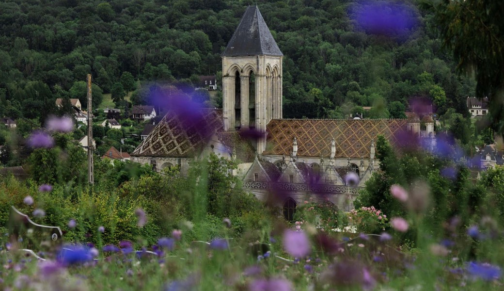 Balade culture et nature Vétheuil : la nature au village