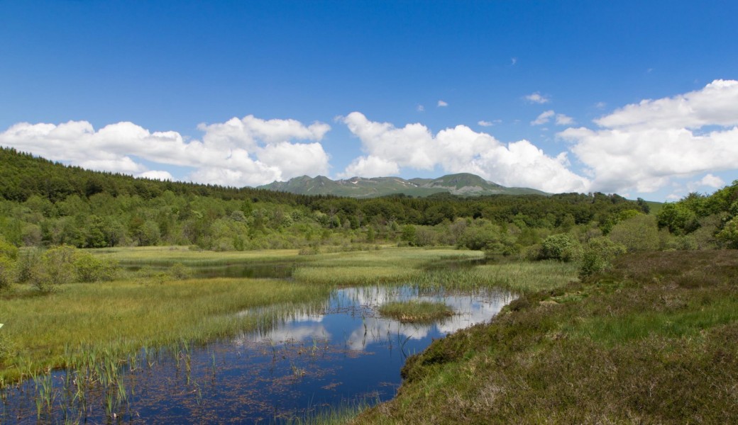 Balade d’Accueil à Picherande (Gratuite)