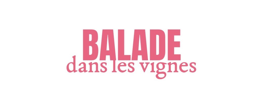Balade dans les vignes