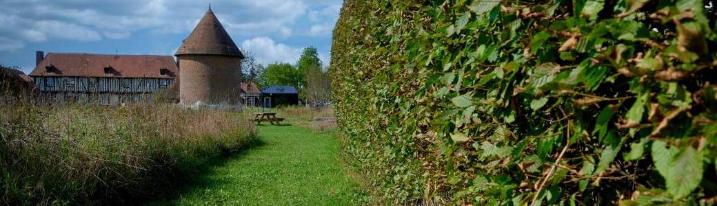 Balade découverte du bois de Villequier